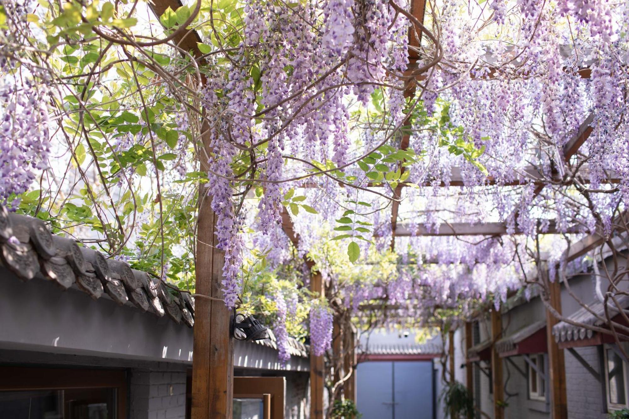 Guipu Beihai Courtyard Hotel Pequim Exterior foto